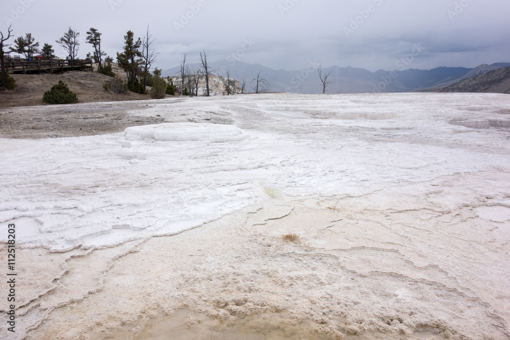 Mammoth Hot Springs