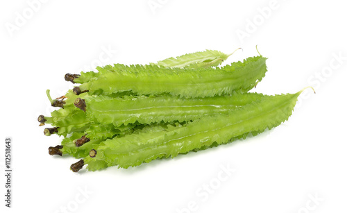 winged bean on white background photo