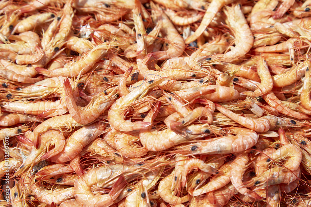 Dried Shrimps Dried Shrimps