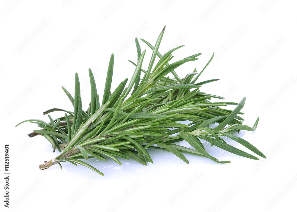 rosemary rosemary