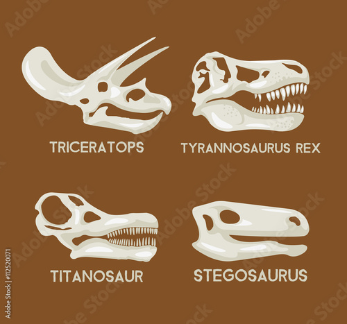 Dinosaurs silhouettes head set. Vector flat set illustration. Dinosaurs museum