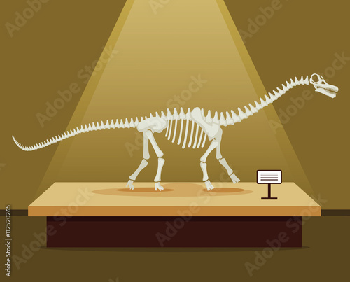 Titanosaur bones skeleton in museum exhibition. Vector flat cartoon illustration. Dinosaurs museum