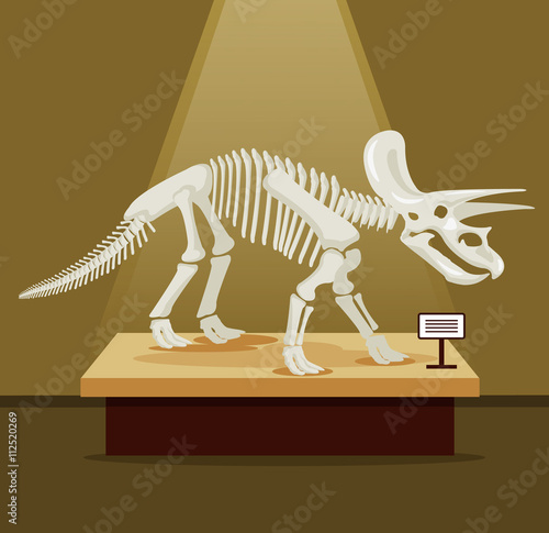 Triceratops bones skeleton in museum exhibition. Vector flat cartoon illustration. Dinosaurs museum