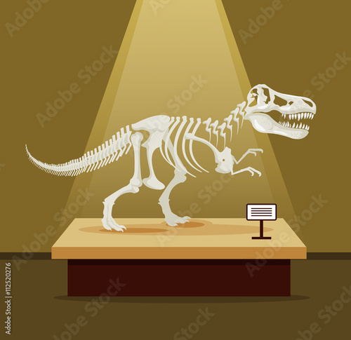 Tyrannosaur Rex bones skeleton in museum exhibition. Vector flat cartoon illustration. Dinosaurs museum