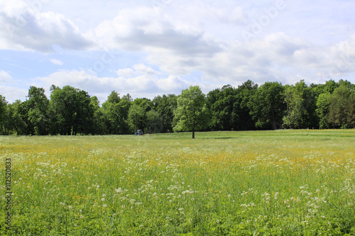 трактор на поле с цветами