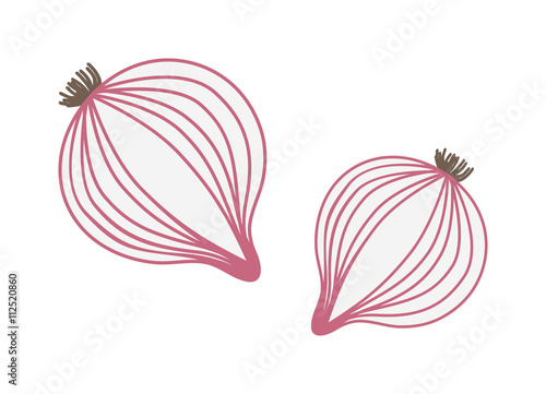 Red onion with fresh green sprout vector illustration.