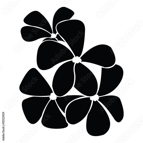 frangipani silhouettes for design vector