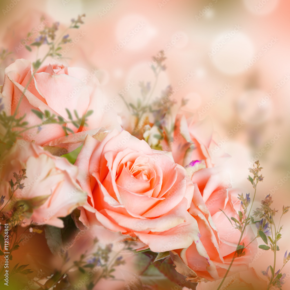 Beautiful roses and butterfly, flower, floral background - obrazy, fototapety, plakaty 