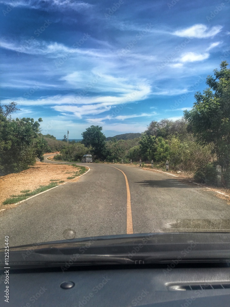 Fototapeta premium Road in nature