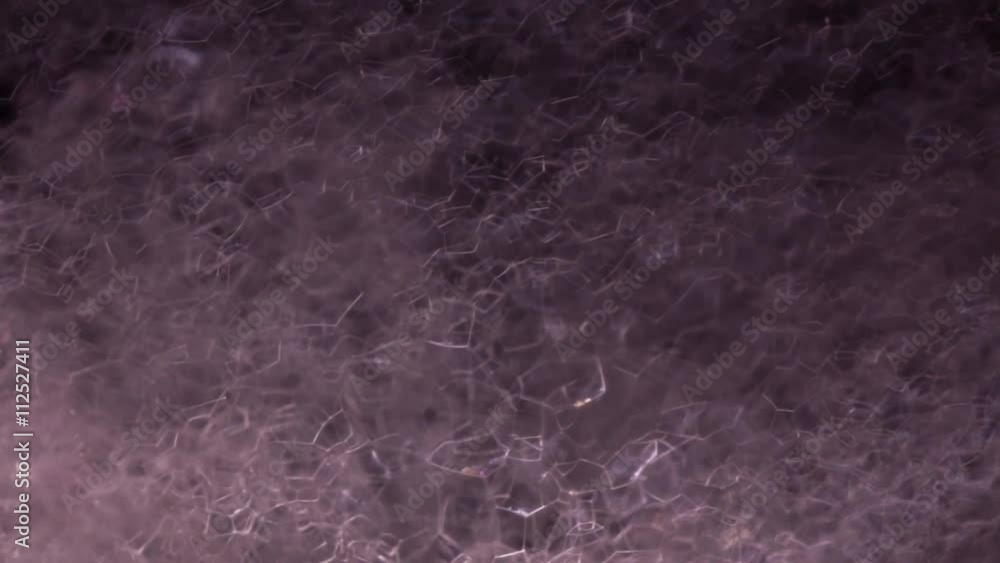 Macro view of the bubble structure