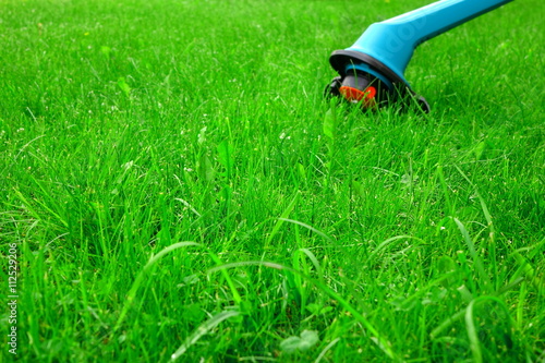 Green Lawn Closeup And Corded Grass Trimmer In The Background