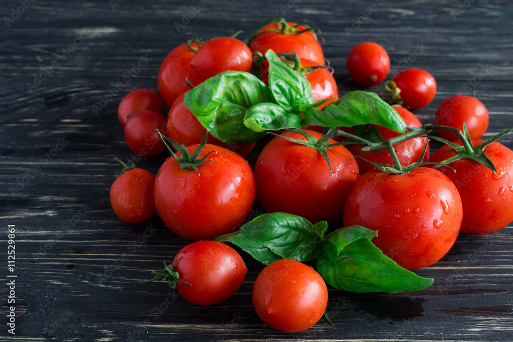 Tomatoes on vine and green basil