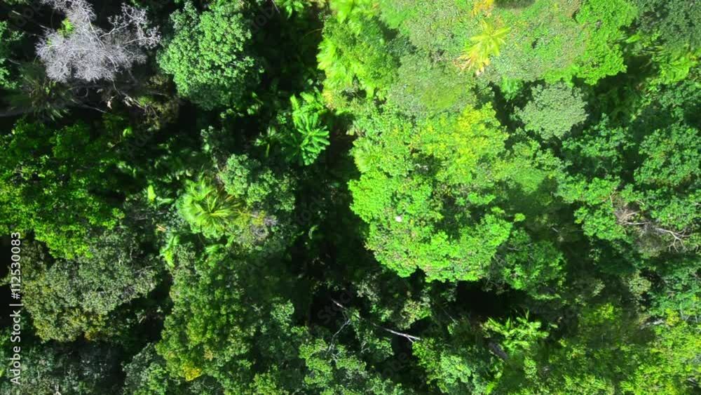Aerial view of Barron Gorge National Park Rainforest Queensland Australi Aerial view of Barron Gorge National Park Rainforest Queensland Australi