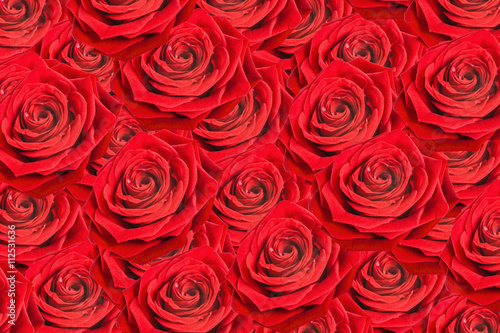 Red roses background