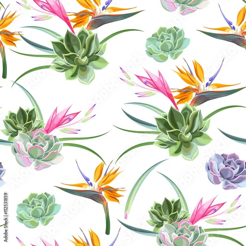 Tapety Egzotyczne kwiaty i sukulenty bez szwu