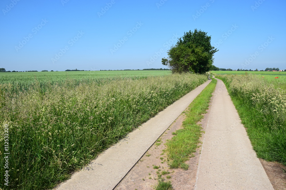 Feldweg im Sommer