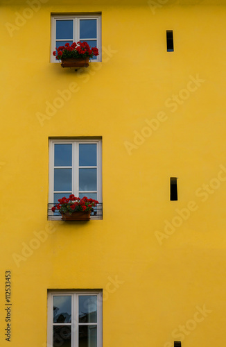 Yellow House with Three Little Window and Red Flowers