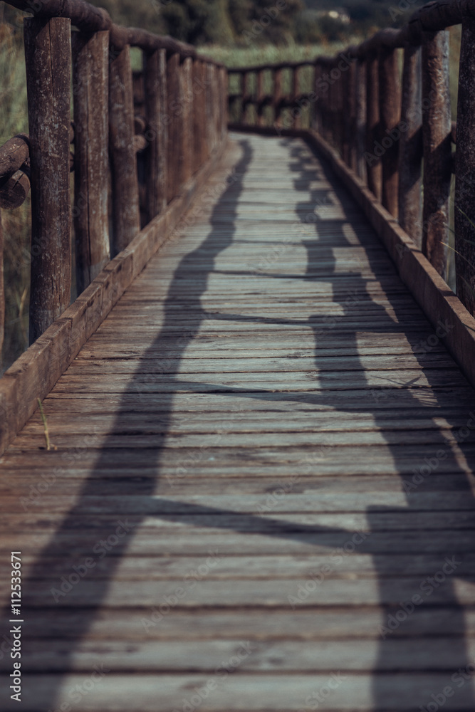 Fototapeta premium Wooden Bridge