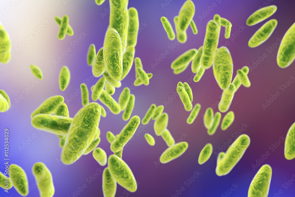 Brucella bacteria, 3D illustration. Gramnegative pleomorphic bacteria which cause brucellosis