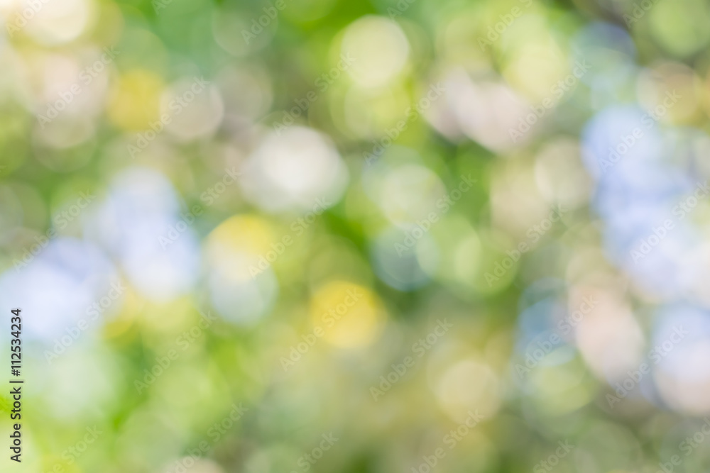 Blur Natural green bright background Blur Natural green bright background