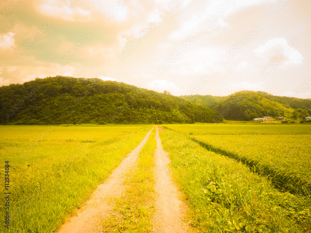 Obraz premium 秋田の田園