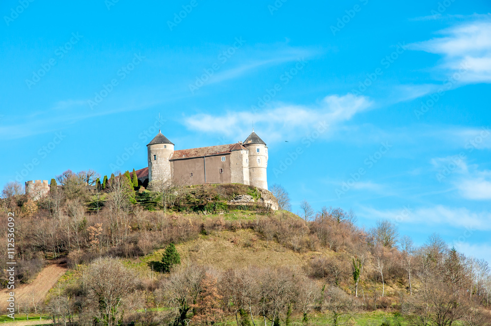 Castle of belvoir in France