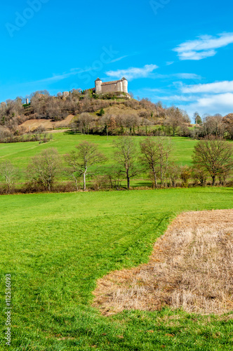 Castle of belvoir in France photo