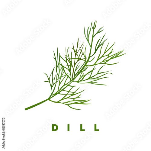 Fotografiet dill herb, food vector illustration, isolated logo