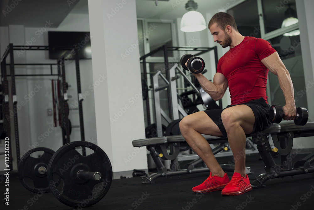 Obraz premium Young muscular man doing biceps workout with dumbbell in a gym