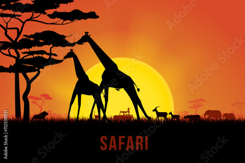 Vector illustration of Africa landscape with wildlife and sunset background. Safari theme