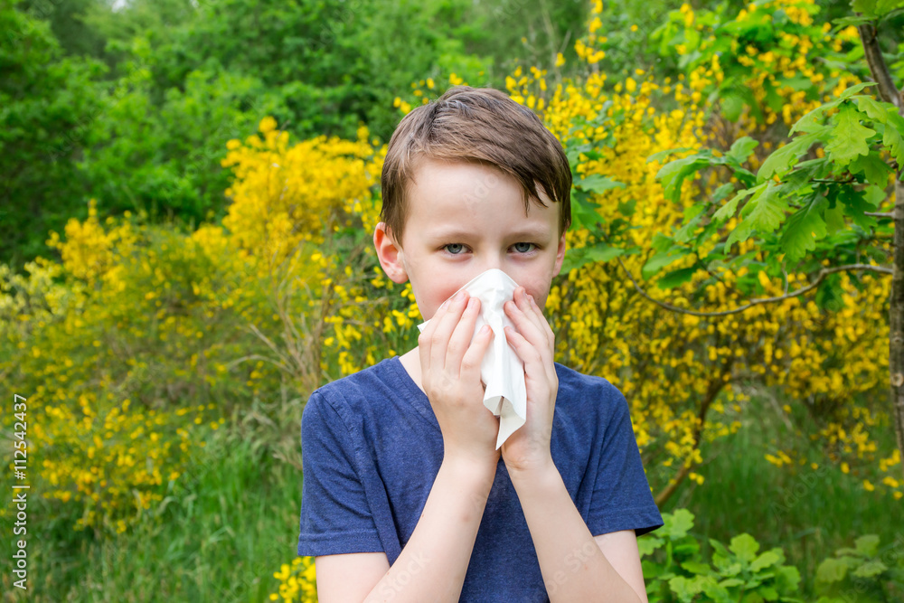 Heuschnupfen – allergischer Schnupfen bei Kindern