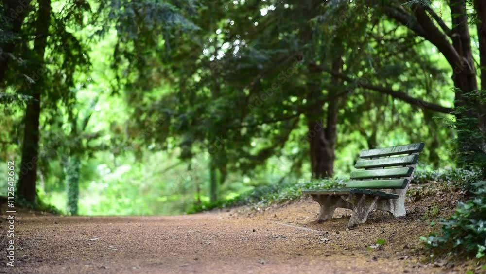 Old green wooden bench in the garden. Old green wooden bench in the garden.