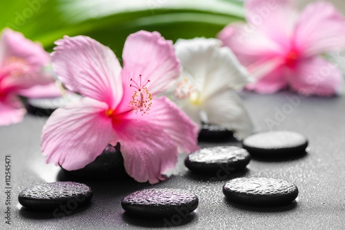 beautiful spa concept of pink and white hibiscus flowers, leaf