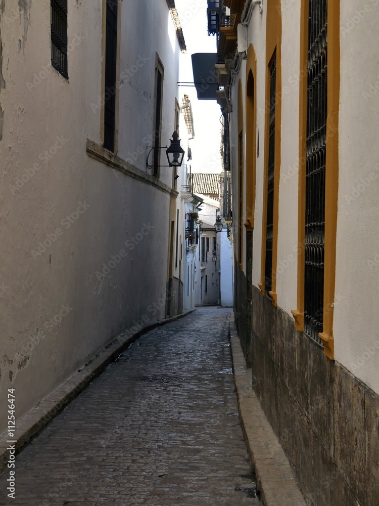 Fototapeta premium CÓRDOBA,ANDALUCÍA,ESPAÑA