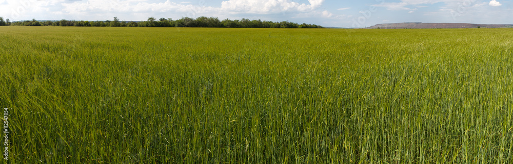 Photo panorama of fields on a sunny day.