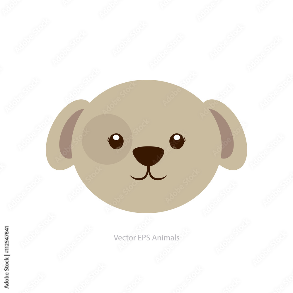 Isolated animal Isolated animal