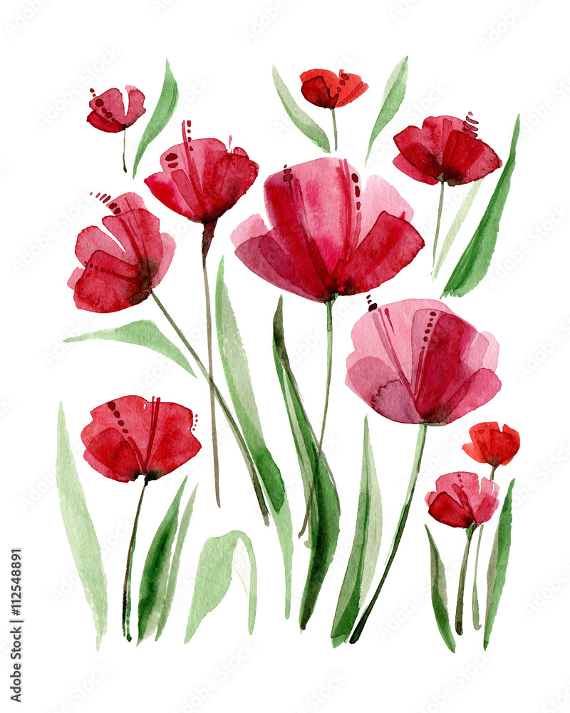 Decorative poppy flowers. Watercolor illustration.