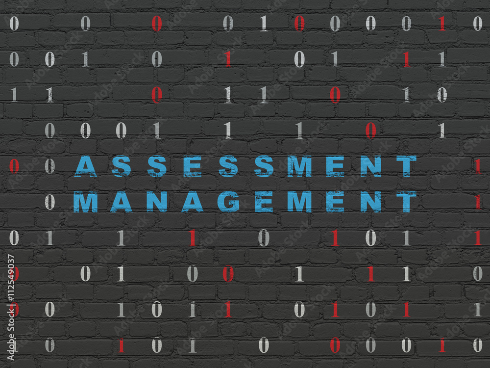 Finance concept: Assessment Management on wall background Finance concept: Assessment Management on wall background