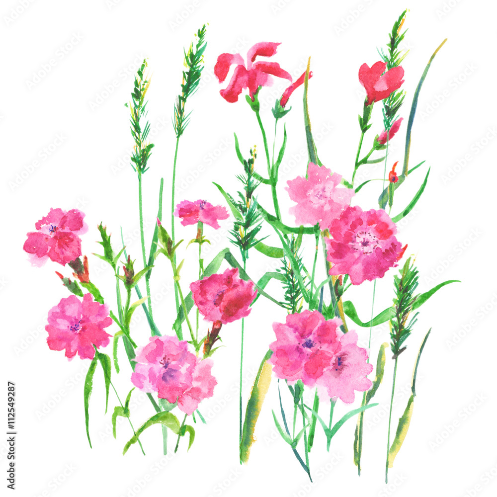 Obraz premium set with red and pink flowers and grass on a white background, watercolor painting