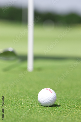 golf field and golfball