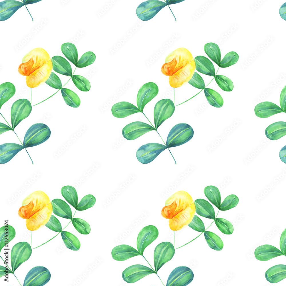 watercolor pattern with yellow flowers on a white background, peanut, bean