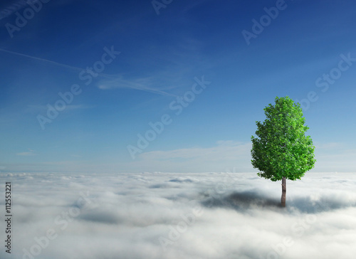 tree and clouds