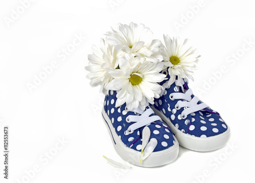 white daisy bouquet in blue and white polka dot sneakers isolated on white