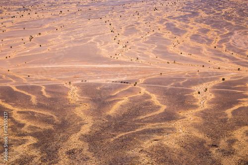 camel caravan in Sahara desert