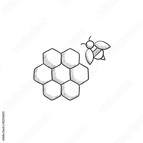 Honeycomb and bee sketch icon.