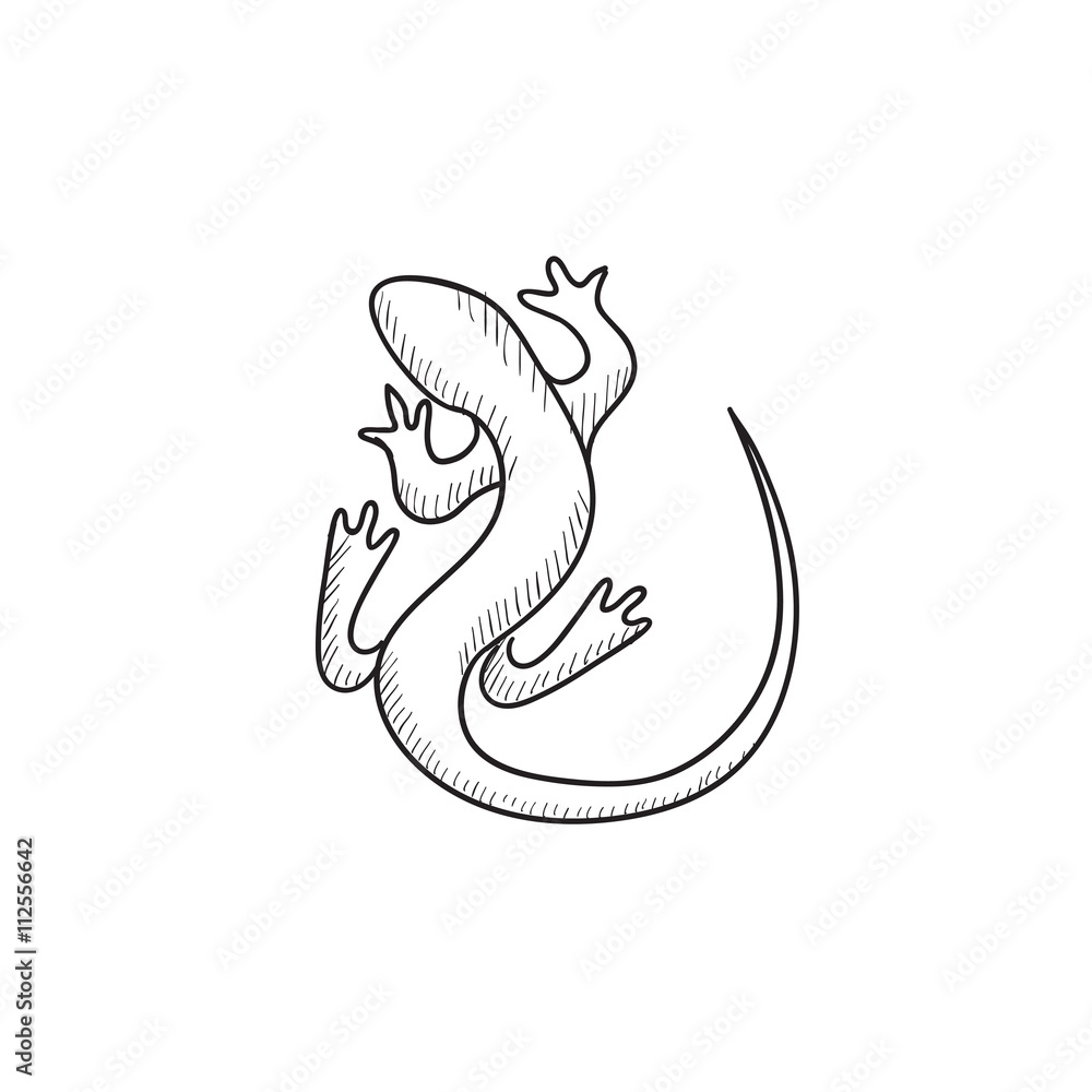 Lizard sketch icon. Lizard sketch icon.