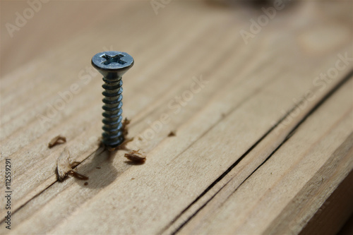 Slika na platnu Screw screwed into wooden plank