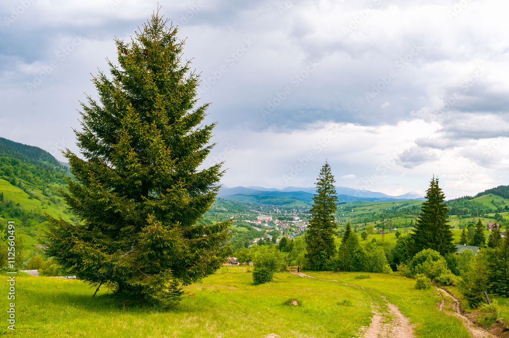 Mountain landscape in the Ukrainian Carpathians Mountain landscape in the Ukrainian Carpathians