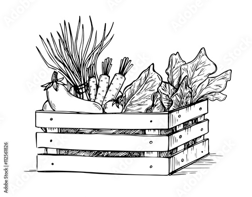 Hand drawn vector illustration - Fresh vegetables. Supermarket. Wooden box with healthy food. Farm. Local shop