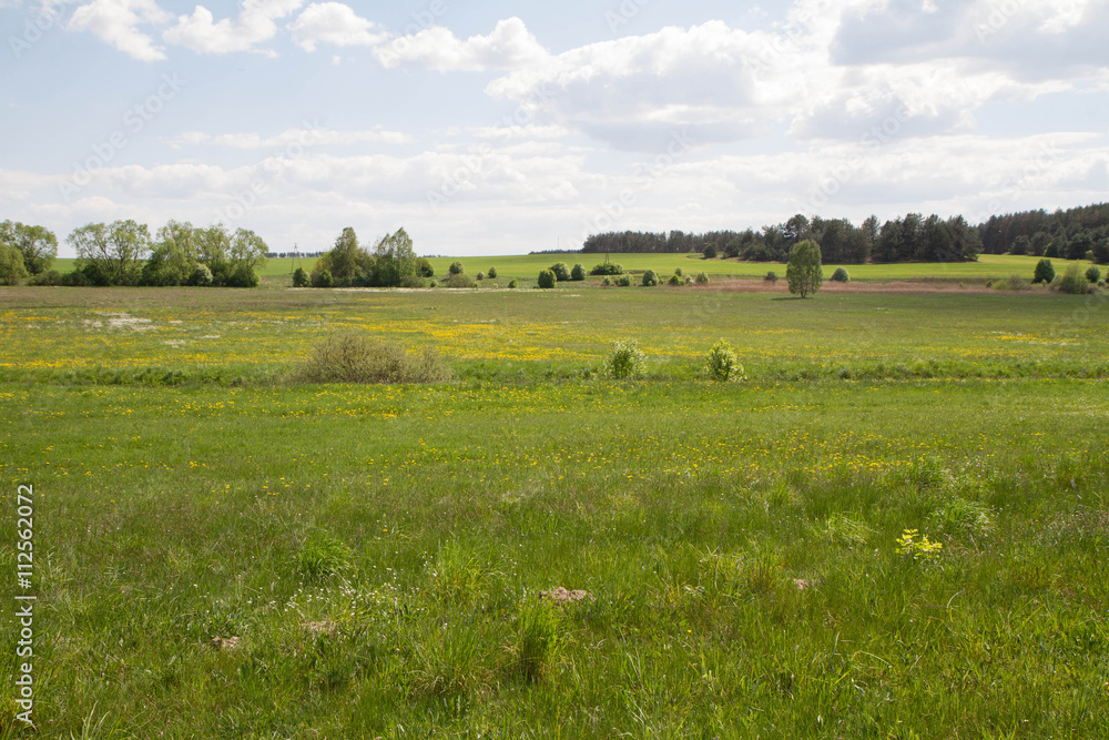 Meadow Meadow